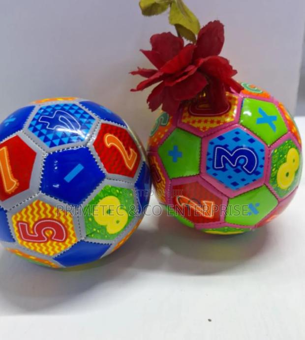 Football Soccer - main view