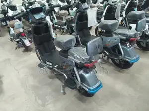 New Motorcycle 2024 Gray