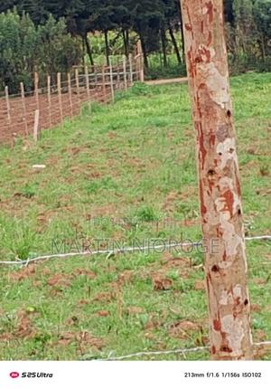 1⁄4 Acre Mwendandu, South Kinangop - thumbnail 2