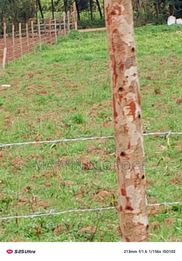 1⁄4 Acre Mwendandu, South Kinangop - thumbnail 3