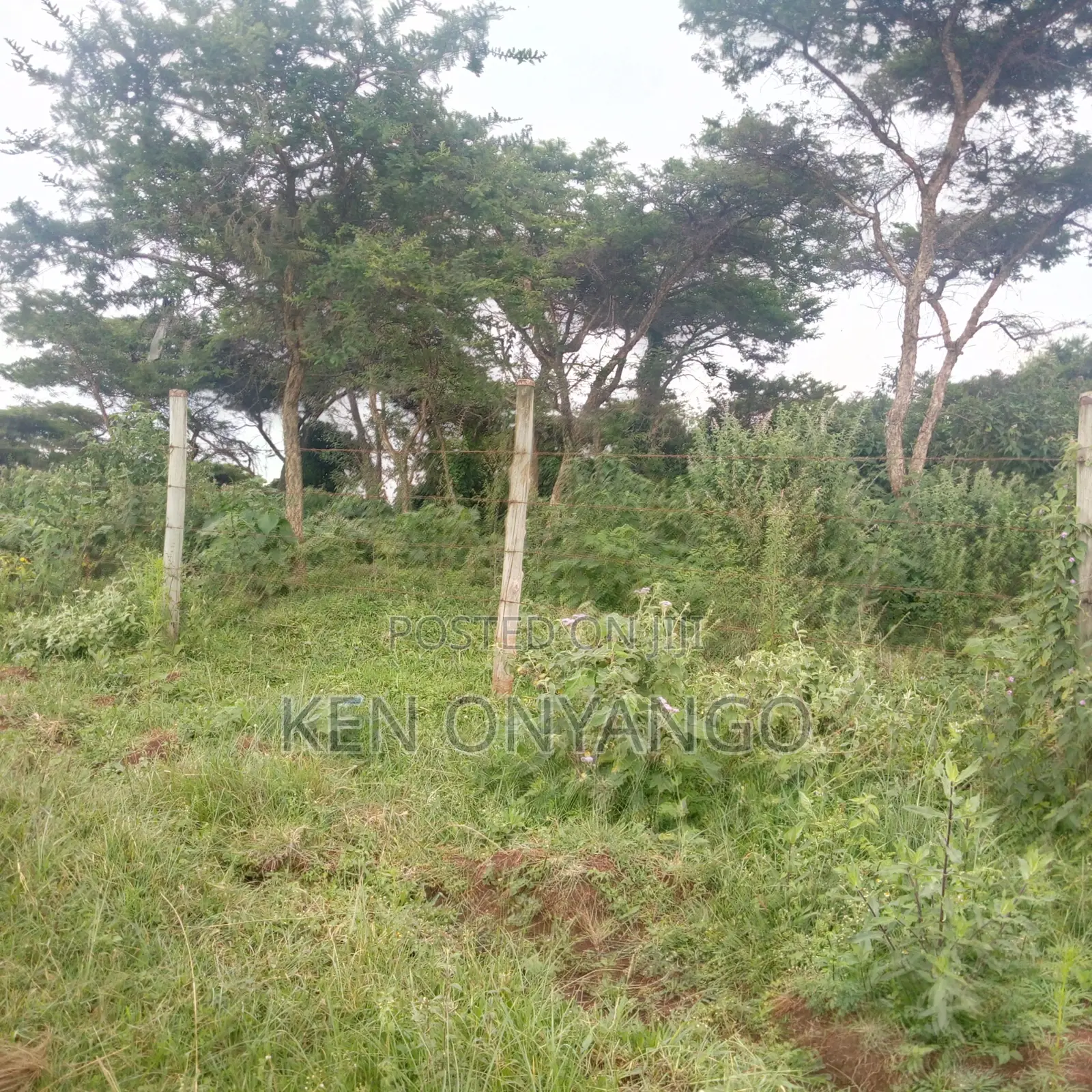 10 Acres for Sale in Bahati, Nakuru