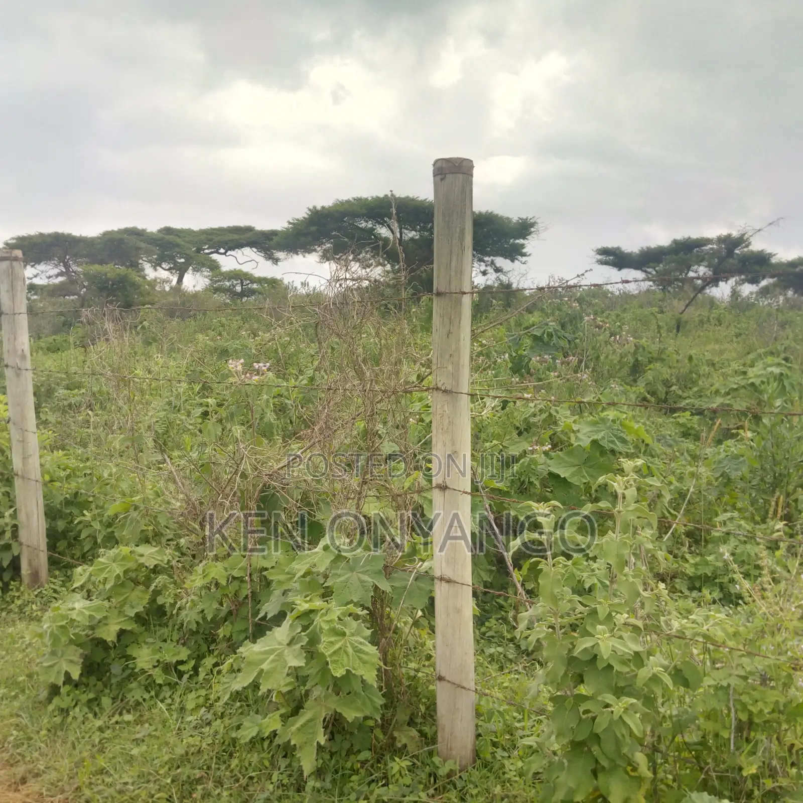 10 Acres for Sale in Bahati, Nakuru