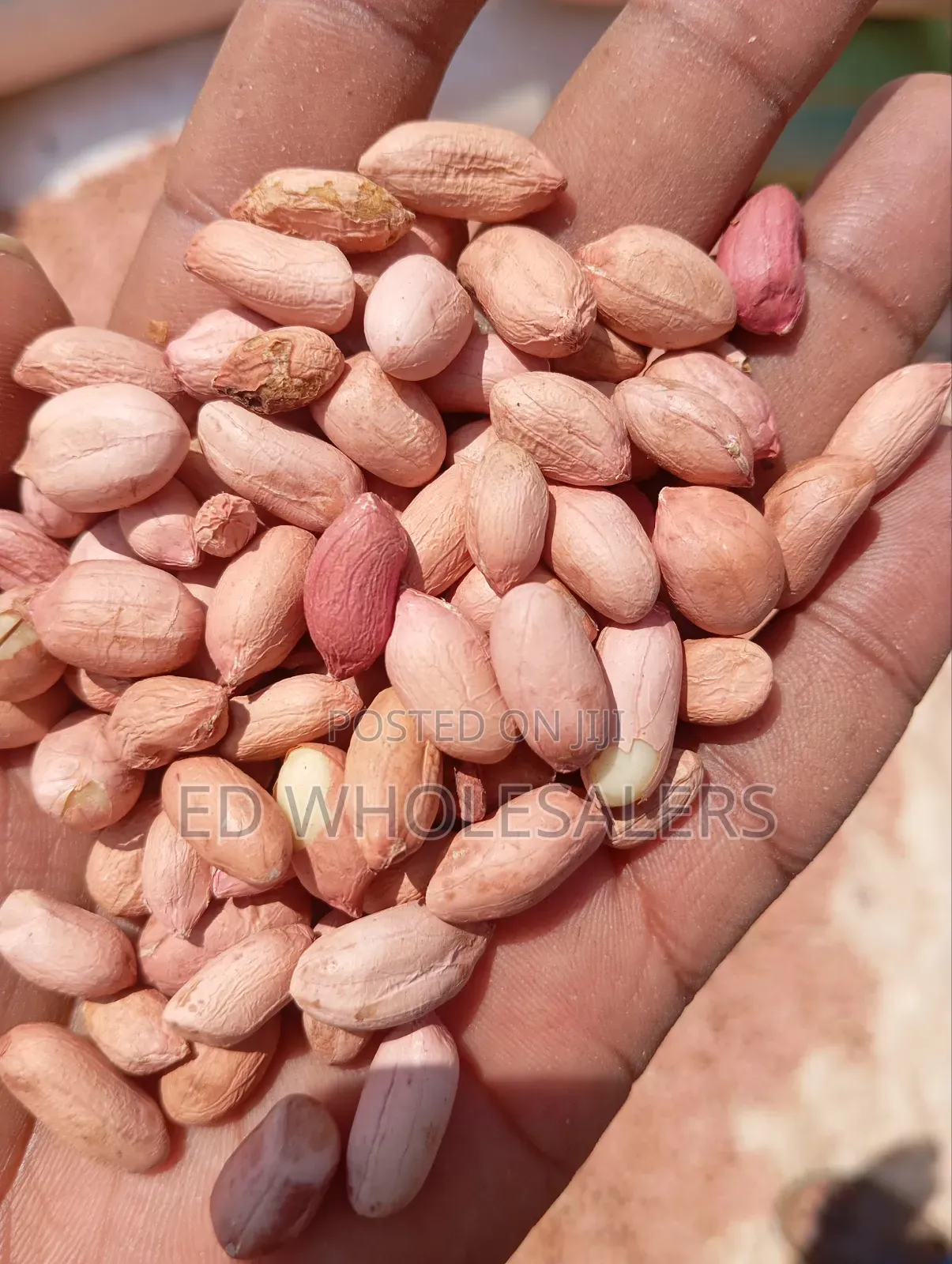Njugu / Groundnuts