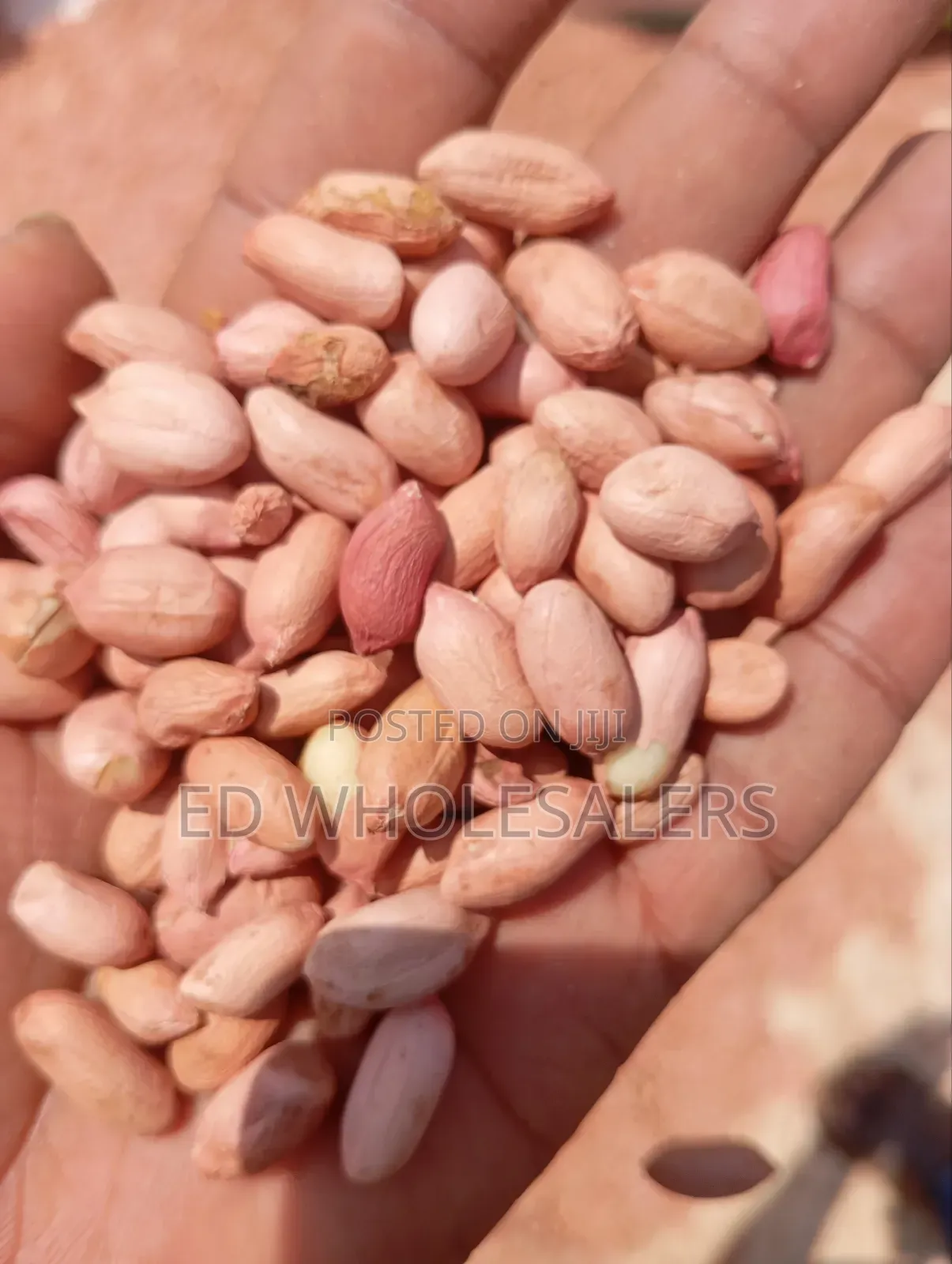 Njugu / Groundnuts