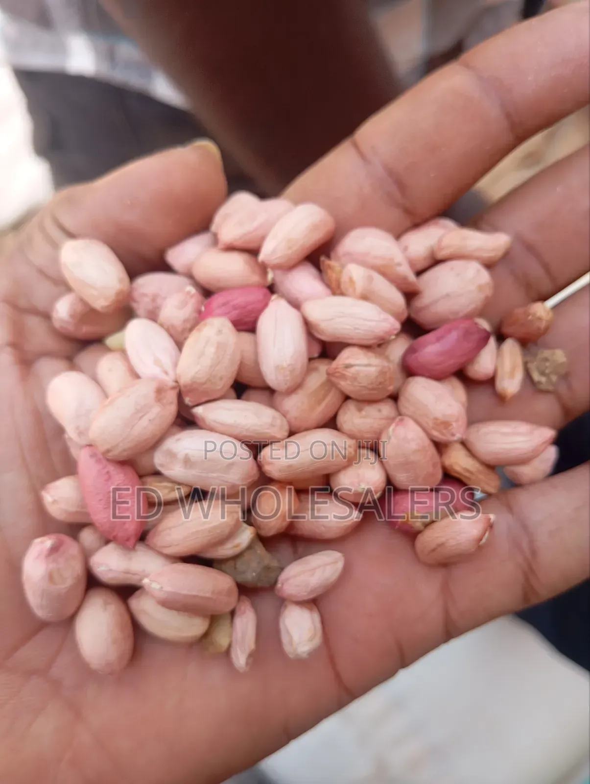 Njugu / Groundnuts