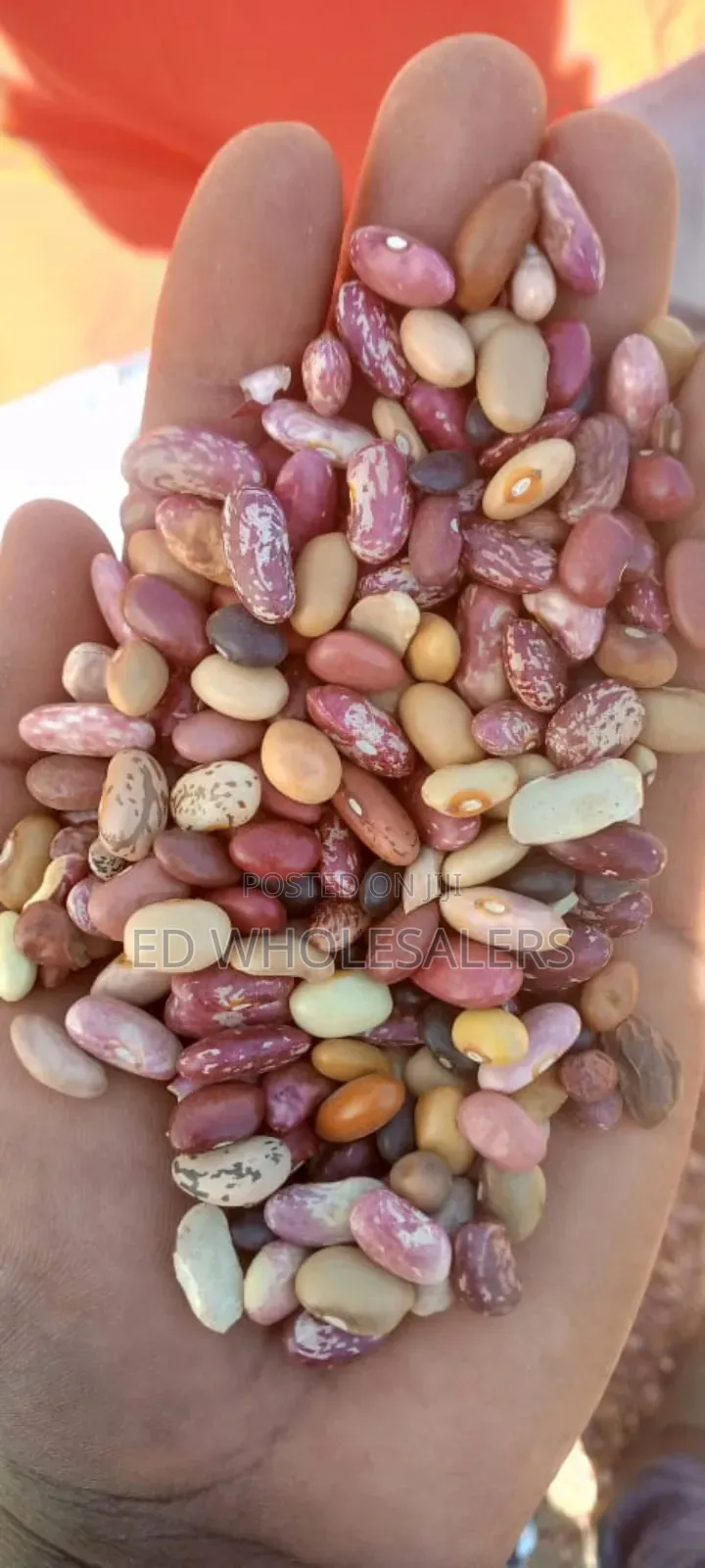 Mixed Beans