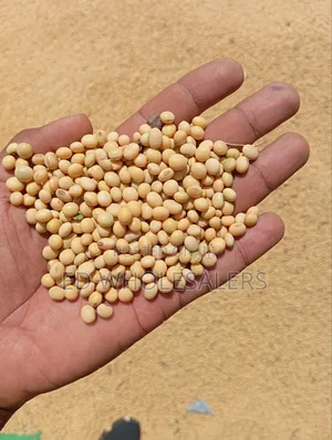 Soya Beans