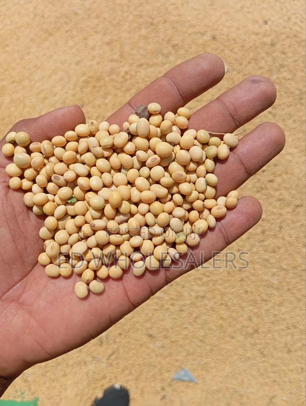 Soya Beans - thumbnail 3
