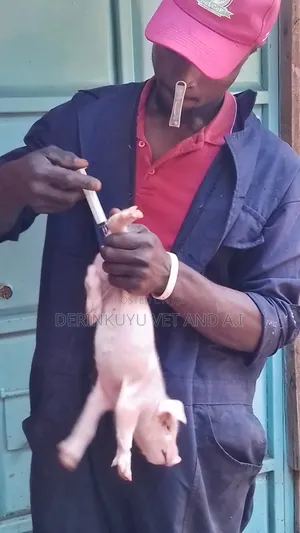 Veterinarian