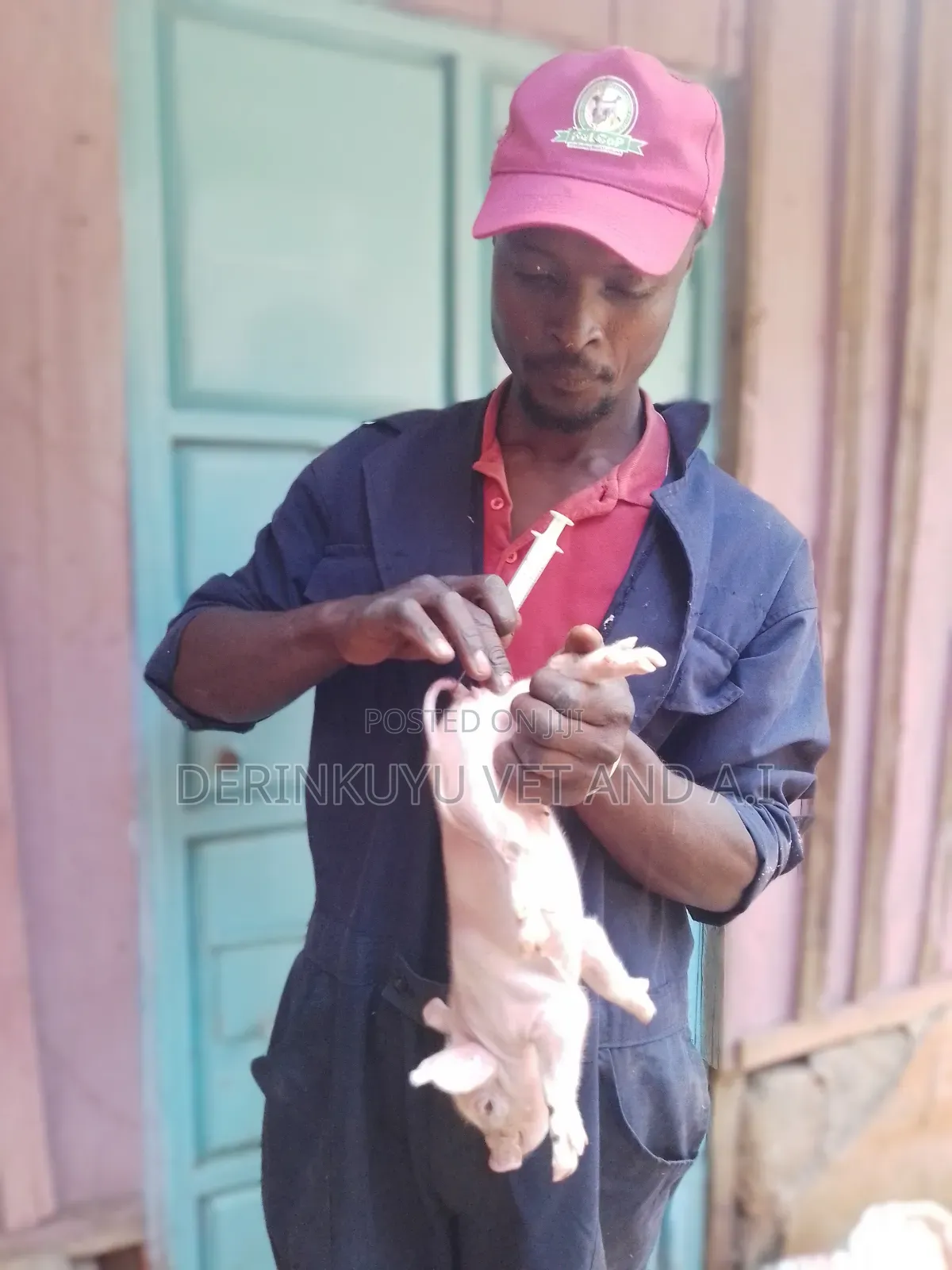 Veterinarian