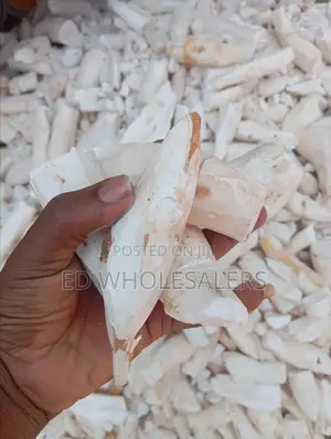 Dry Cassava Chips
