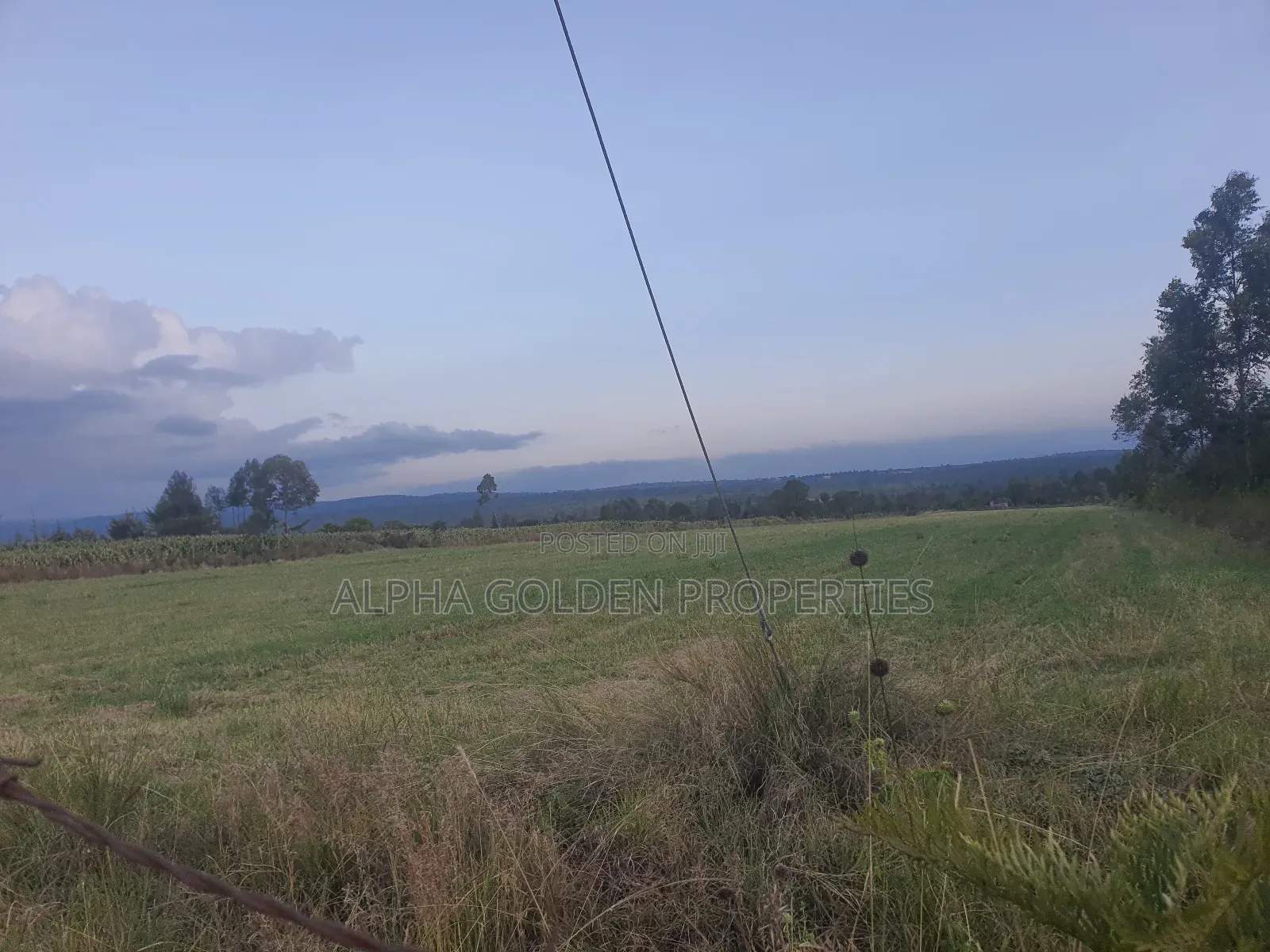 3 Acres in Nanyuki Ragati