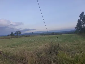 3 Acres in Nanyuki Ragati