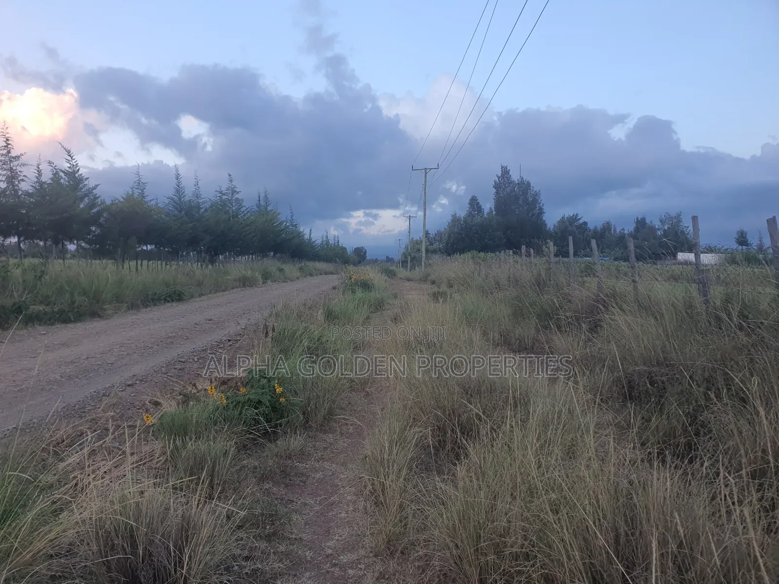 3 Acres in Nanyuki Ragati