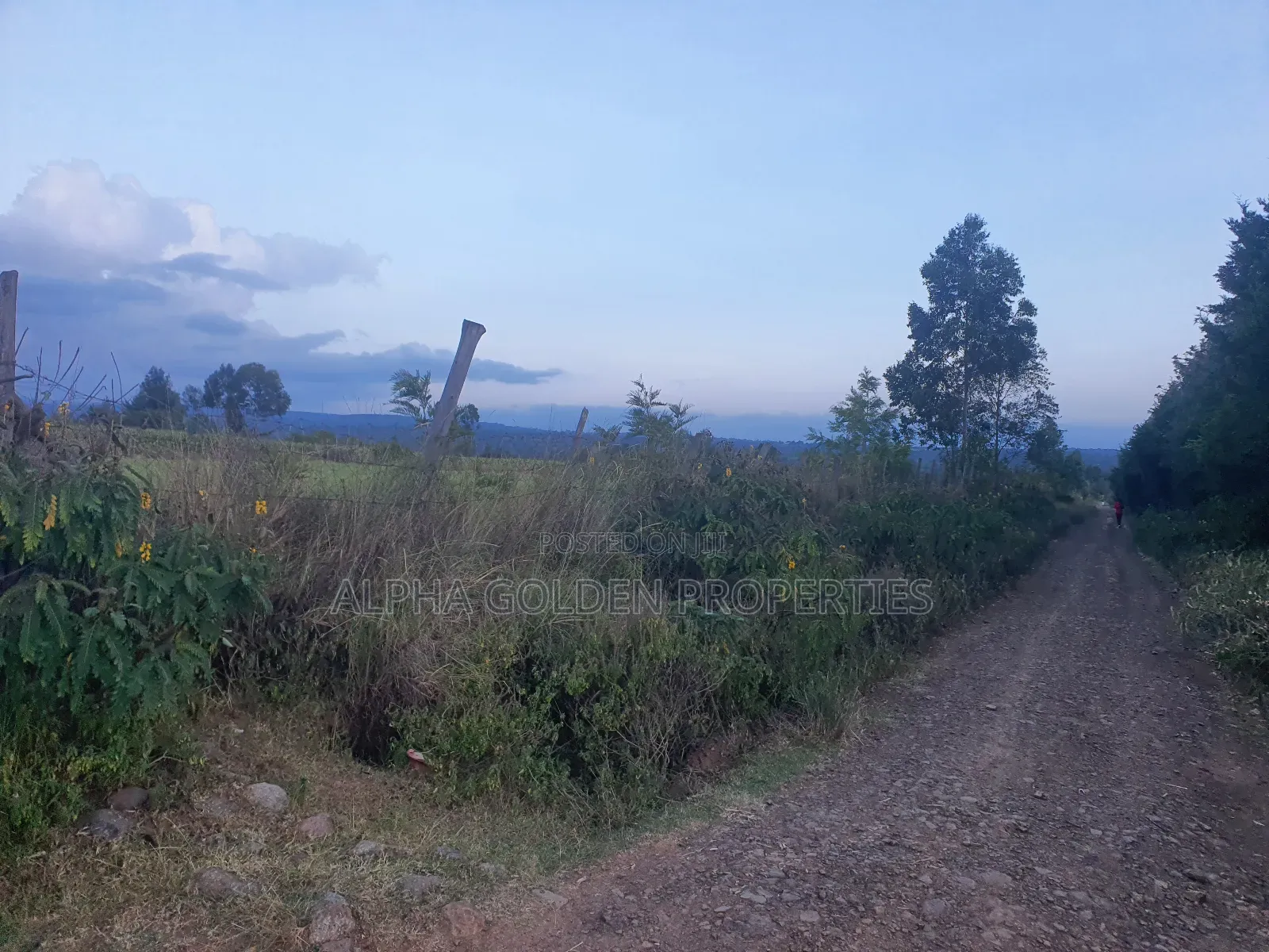 3 Acres in Nanyuki Ragati