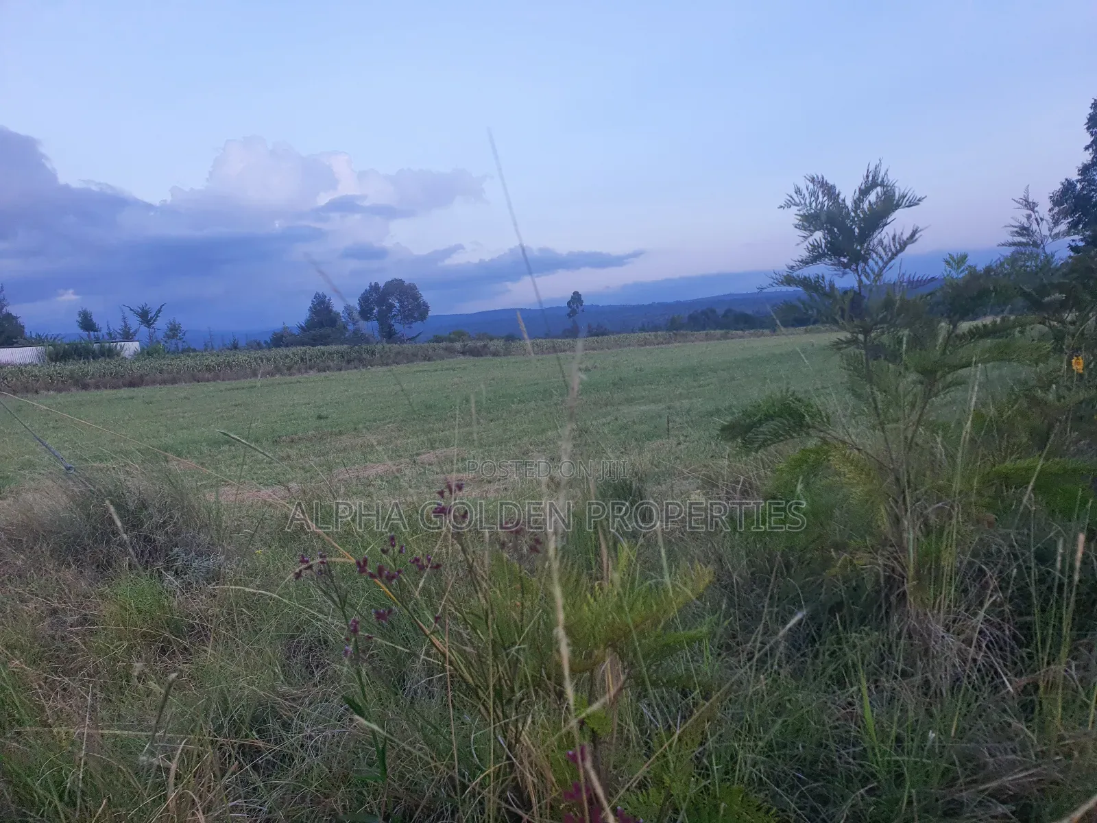 3 Acres in Nanyuki Ragati