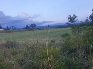 3 Acres in Nanyuki Ragati