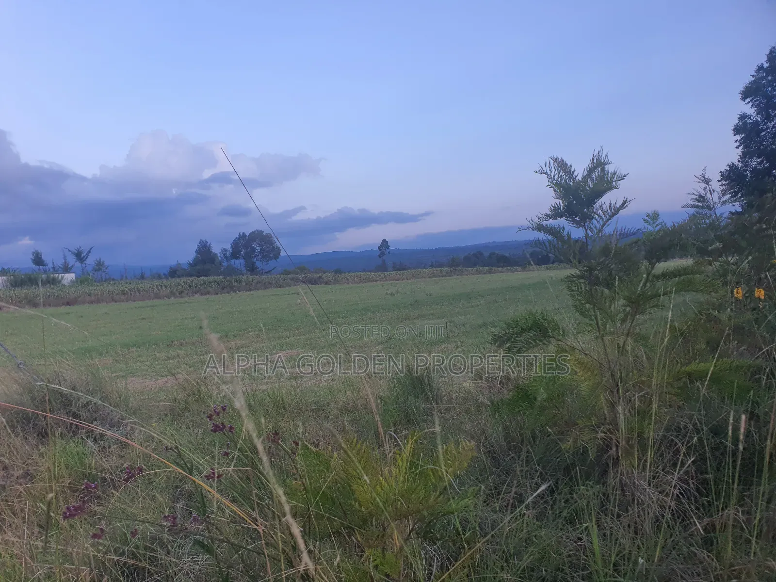 3 Acres in Nanyuki Ragati