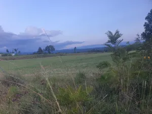 3 Acres in Nanyuki Ragati