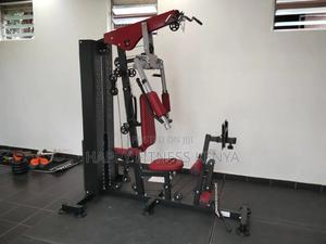 2 Station Multigym for Home Use With Leg Press in Kenya - main view