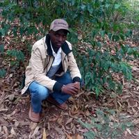 Mattoh auto parts logo