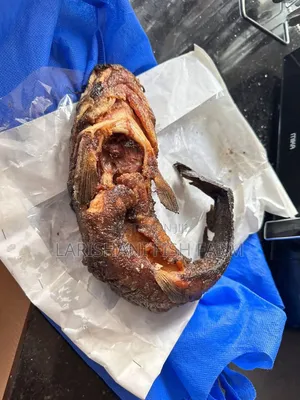Live Catfish