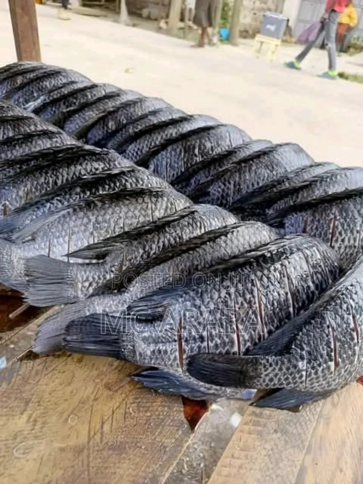 Chosen Fish Suppliers