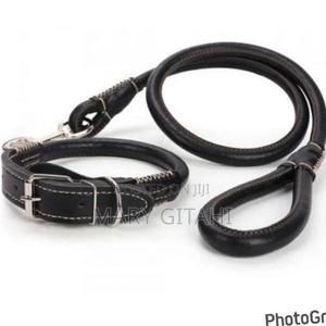 Complete Set Easy Grip Rolled Up Leather Dog Collarandleash* - thumbnail 2