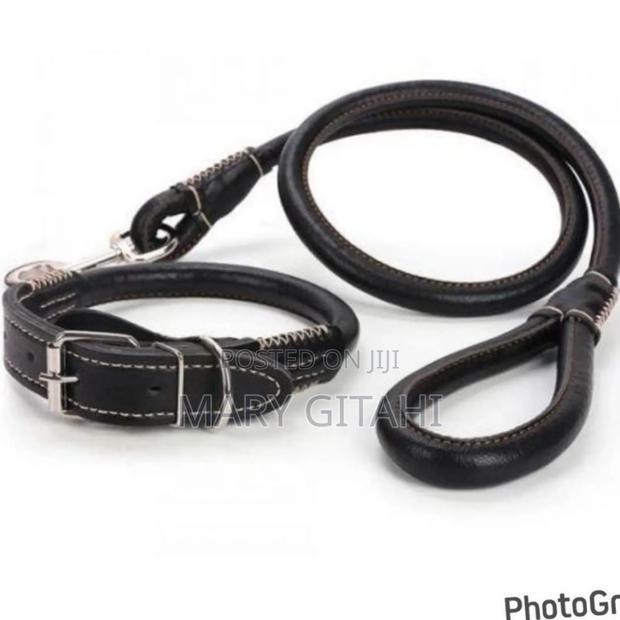 Complete Set Easy Grip Rolled Up Leather Dog Collarandleash* - main view