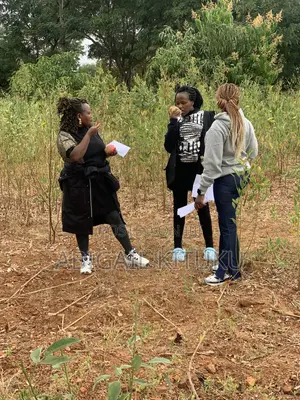 Makutano(Mwea/Embu)Plots for Sale