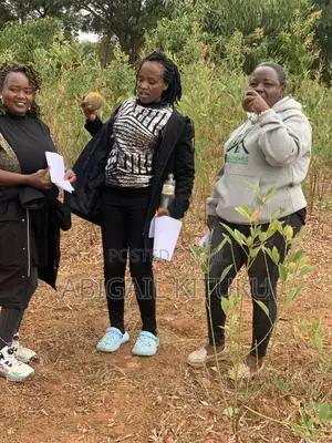 Makutano(Mwea/Embu)Plots for Sale