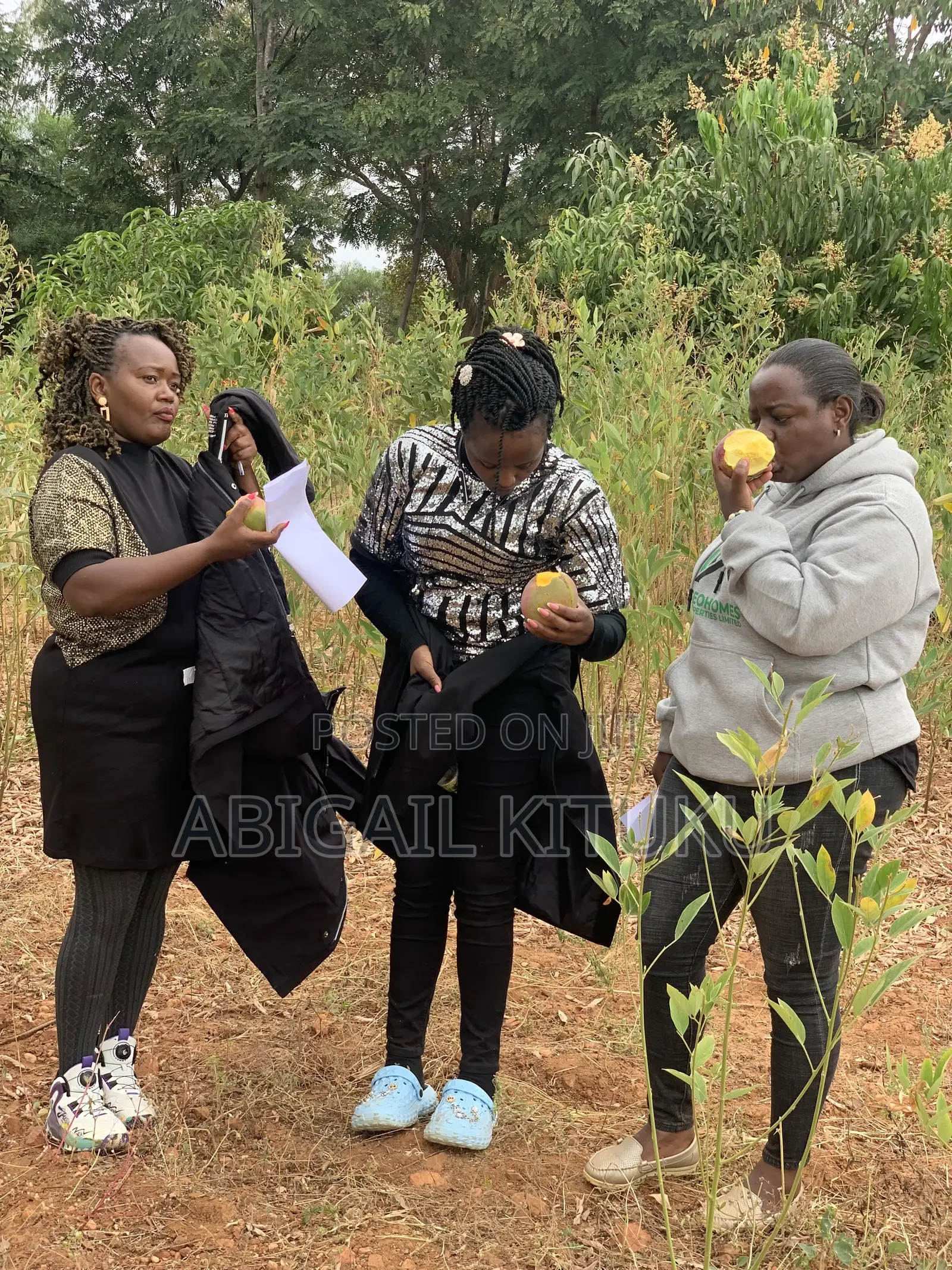 Makutano(Mwea/Embu)Plots for Sale