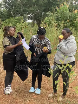 Makutano(Mwea/Embu)Plots for Sale