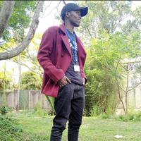 Karisking Logistics Electronics logo