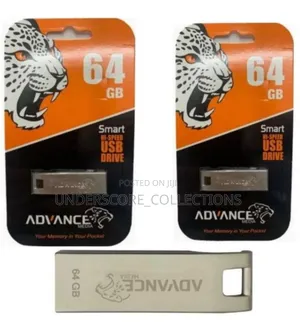 Memory Cards and Flash Disks
