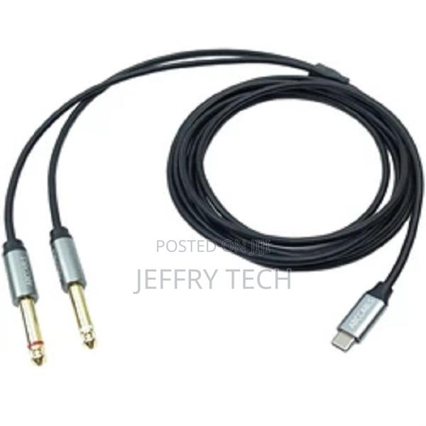 Versatile Type-C Dual 6.35 Audio Cables for Public Use 1.5m - main view