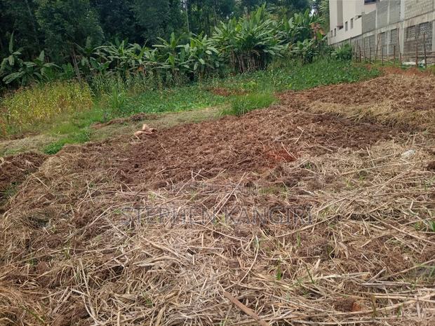 Residential/Commercial Plot