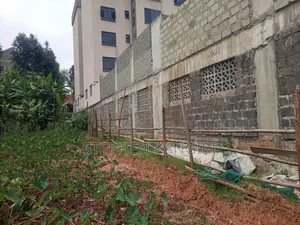 Residential/Commercial Plot