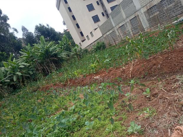 Residential/Commercial Plot - thumbnail 10