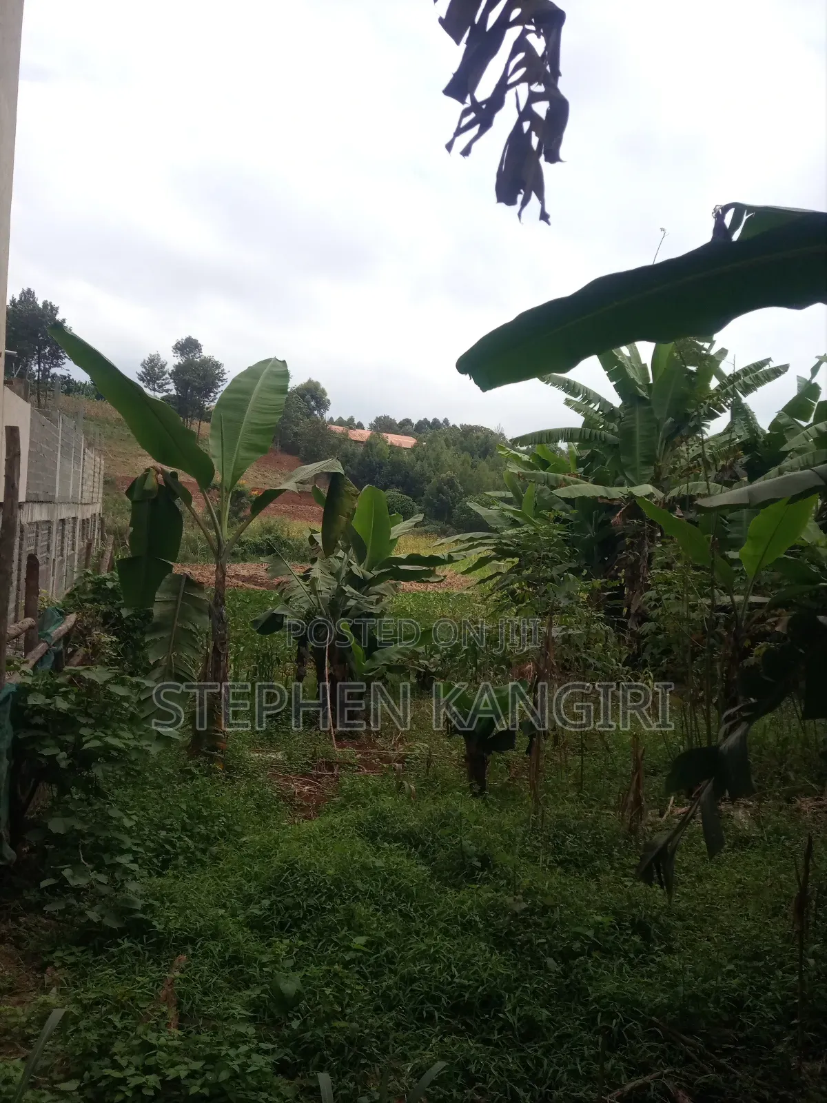 Residential/Commercial Plot