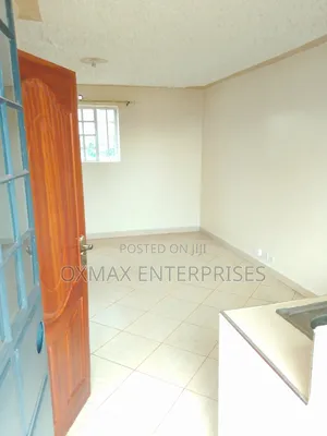 1bdrm Bedsitter in Patrick Mburu, Ruaka for rent