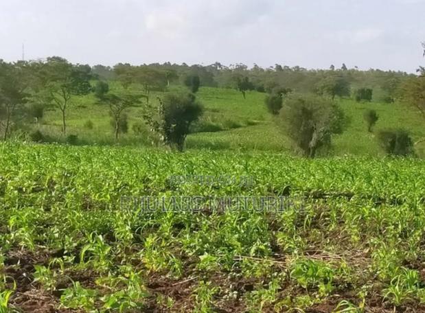 Metro Estate - thumbnail 5