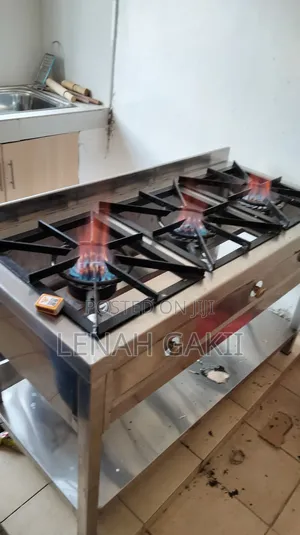 Gas Cooker Range