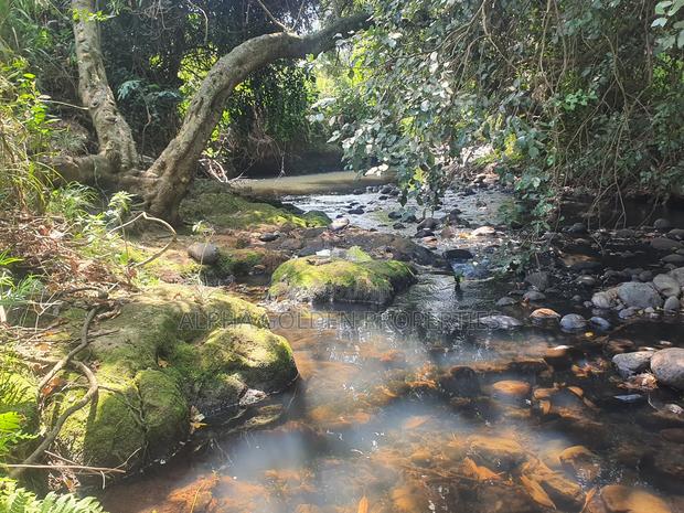 Narumoru 1 Acre With River Frontage - thumbnail 3