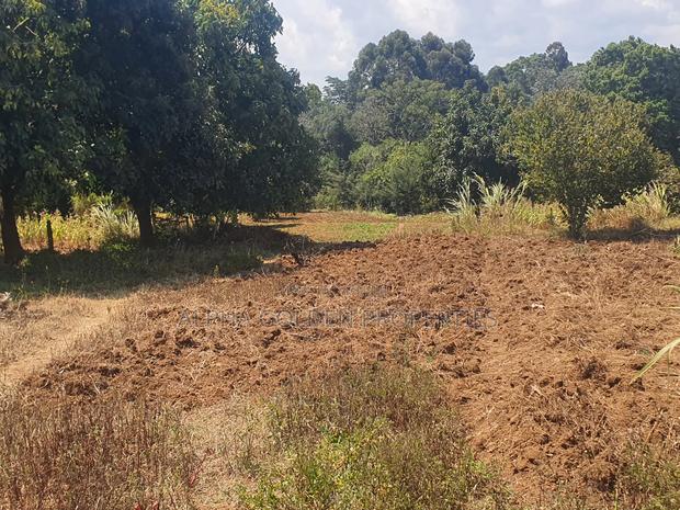Narumoru 1 Acre With River Frontage - thumbnail 5
