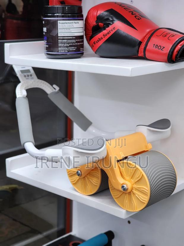 Rebound and Roller - main view