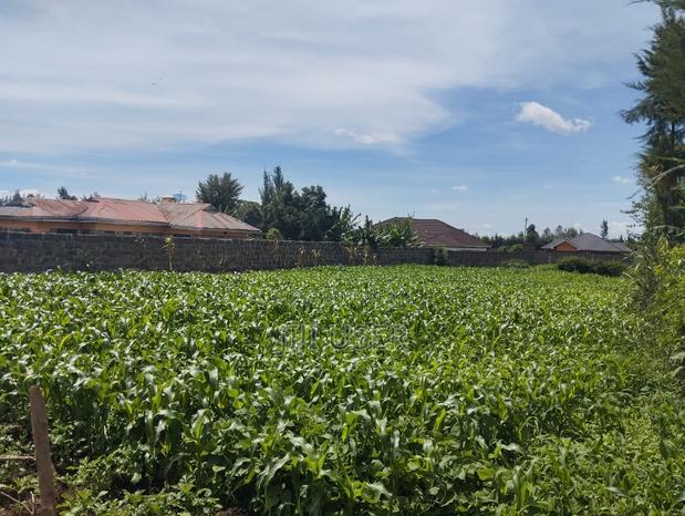 1/4 Land Plot in Sobea, Nakuru (Ex-Margaret) - main view