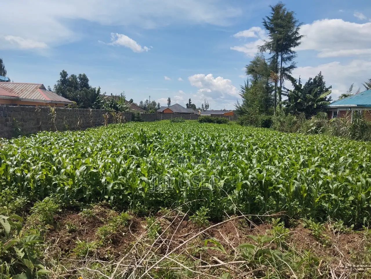 1/4 Land Plot in Sobea, Nakuru (Ex-Margaret)