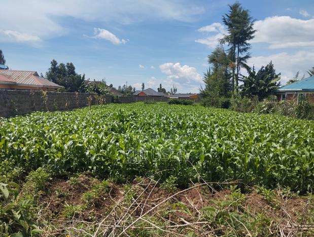 1/4 Land Plot in Sobea, Nakuru (Ex-Margaret) - thumbnail 3