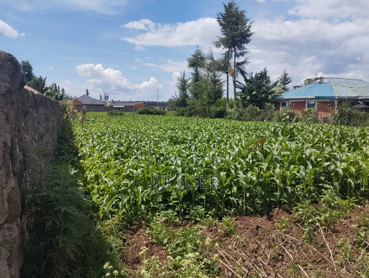 1/4 Land Plot in Sobea, Nakuru (Ex-Margaret)